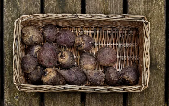 Whole beetroots in a wicker basket on weathered wooden boards, photographed from above